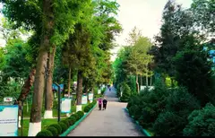 Chinobod sanatoriyasi