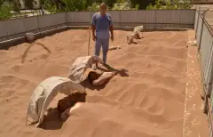 Termiz marvaridi sanatoriyasi