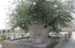 ABU MU’IN NASAFIY ZIYORATGOHI (Qarshi tumani)