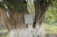 QUSAM SHAYX ZIYORATGOHI