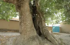 CHIROQCHI ESKI MASJID (Chiroqchi tumani)
