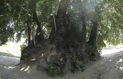 ABDULBOQIY XOJAGI EMKANAGIY ZIYORATGOHI (Kitob tumani)