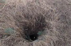 ABDULBOQIY XOJAGI EMKANAGIY ZIYORATGOHI (Kitob tumani)