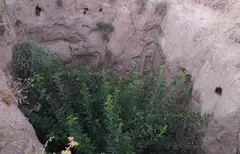 ABDULBOQIY XOJAGI EMKANAGIY ZIYORATGOHI (Kitob tumani)