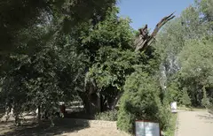 OQ SUV ZIYORATGOHI (Kitob tumani)