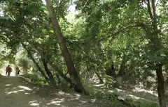 XO‘JA NE’MATULLOH VALIY ZIYORATGOHI (Kitob tumani)