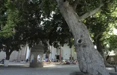 DOR US-SAODAT MAJMUASI (Shahrisabz)