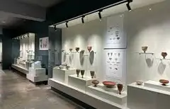 Afrosiyob muzeyi