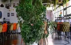 "ZAYTUN" RESTAURANT