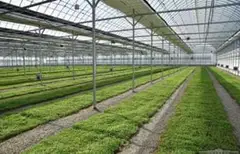 Плодоовощной кластер "Agro trade"
