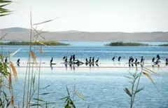 Shurkul Reservoir