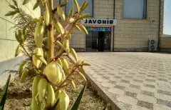 “Javohir” baliq taomlari restorani