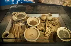 Termiz arxeologiya muzeyi