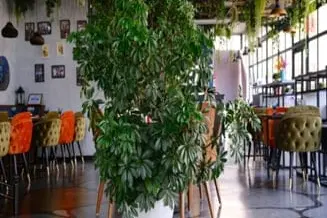 "ZAYTUN" RESTAURANT