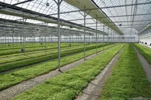 Плодоовощной кластер "Agro trade"