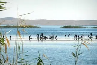 Shurkul Reservoir