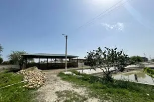 Ecotourism center in the artificial lake basin belonging to "Avazov Alisher" LLC