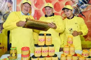 ЦЕНТР ПЧЕЛОВОДСТВА