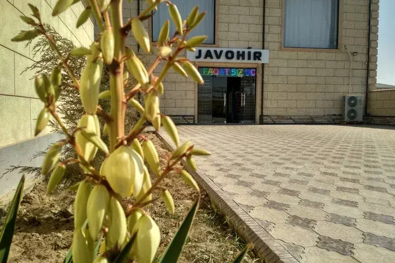 “Javohir” baliq taomlari restorani