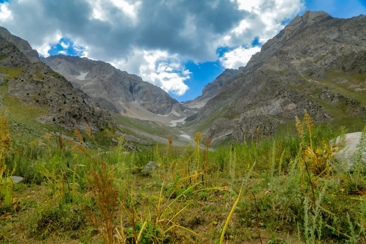 O'zbekistondagi sanatoriy, kurort va oromgohlarni bir joyda toping
